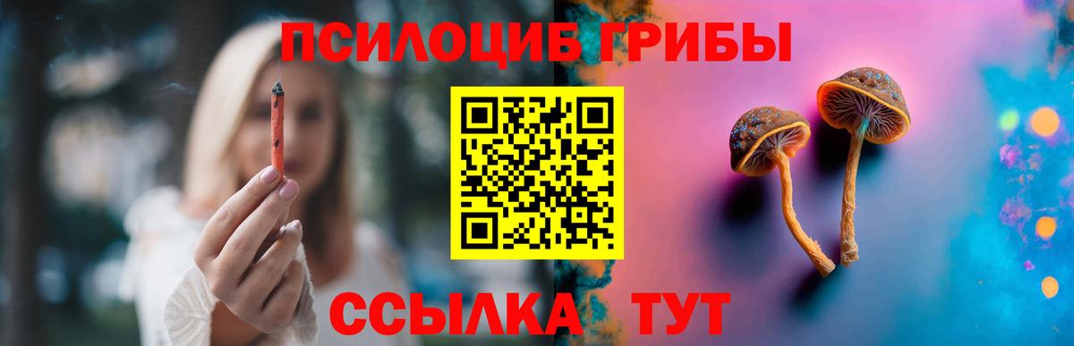 Пенза  Псилоцибиновые грибы Cubensis  Вход с VPN 